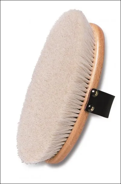 Quelle est cette brosse ?