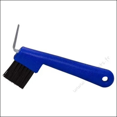 Quelle est cette brosse ?