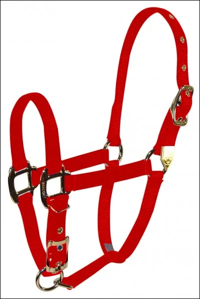 Le licol est-il une brosse ?