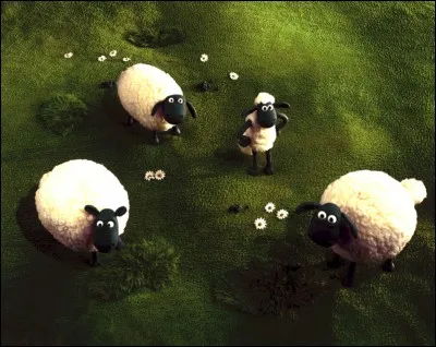 MOUTONNER : comme dans "Regarde dans le ciel les nuages qui moutonnent". Y a-t-il un lien direct entre le verbe et l'animal, le mouton (ici Shaun le mouton) ?