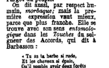 Quiz Langue fran�aise