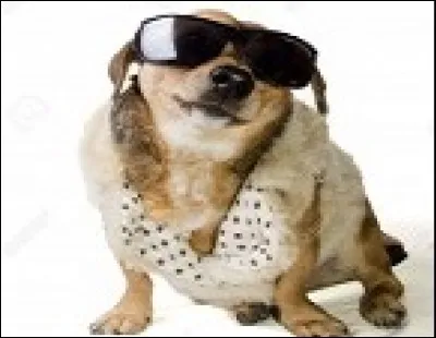 D'autres, se gondolent et disent : voilà un truc pas du tout "chiadé", c'est fait à la mords-moi le nud !