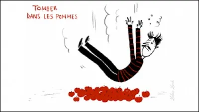 Quand le manche ne se trouve au bout de la brosse du balai, de quoi s'agit-il ?