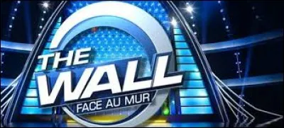 Depuis fin février 2017, sur quelle chaine est diffusé le jeu télévisé "The Wall : Face au mur" ?
