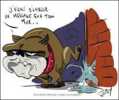 Un mur peut aussi désigner la page personnelle d'un utilisateur du réseau social ...