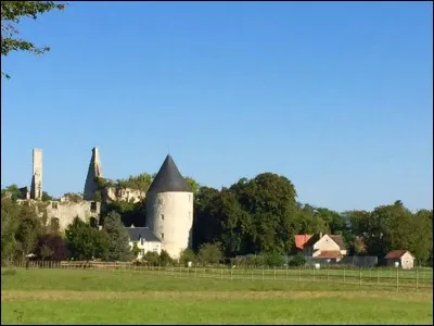 Maintenant un arrêt dans le département du Cher à Dun-sur-Auron,près de cette ville nous pourrons contempler les ruines du château de Bois Sir Amé où vécut Agnès Sorel,de quel roi fut-elle la favorite ?