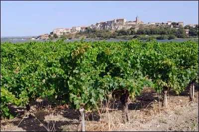 Quel est ce village de l'Aude aux vignobles réputés qui pourrait être moins attirant si on lui ajoutait un N à son nom ?