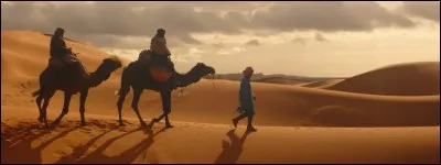 En quoi consiste l'opération "Tempête du désert" ?