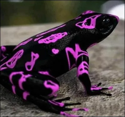 Dénonciation en vue d'une récompense !