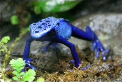 Rejet d'une demande faite en justice !