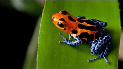 Ensemble des règles à observer dans une bonne société !