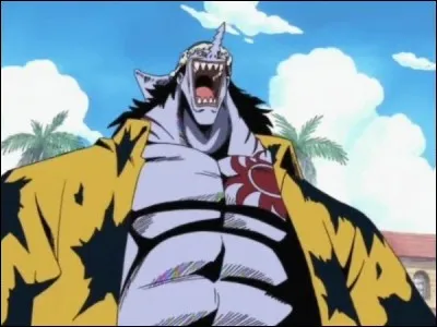 Comment s'appelle la sur d'Arlong ?