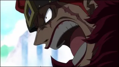 De quelle mer est originaire Eustass Kid ?