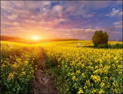 Voilà qui correspond à une équation : ce quiz est simple comme bonjour !