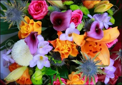 Dans les quiz, nous trouvons souvent une question bonus ! Quel en est le synonyme supposé ?