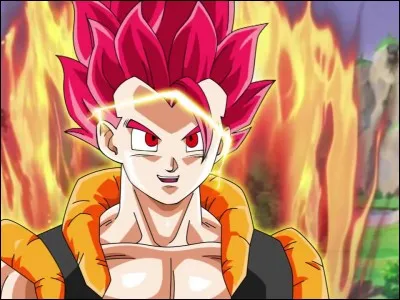 Comment appelle-t-on cette transformation ?