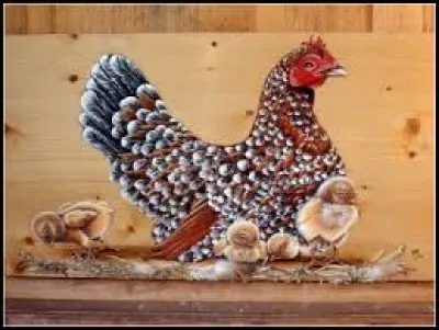 Machine servant à peigner une matière textile :