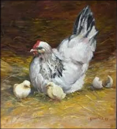 Plante de la famille des centaurées, à fleur bleue, poussant dans les blés :