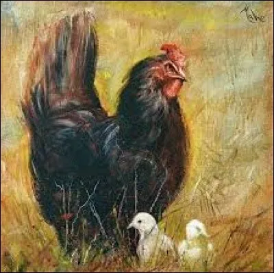 Caillou poli et arrondi par frottement, qui se trouve sur le rivage de la mer ou dans le lit des torrents :