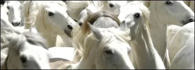 Comment les considère-t-on ?