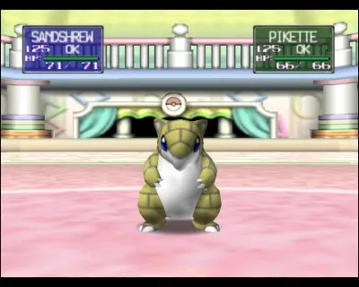 Quel est le dernier adversaire que l'on affronte dans la Petite Coupe ?