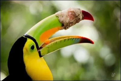 Qu'est-ce qui t'agace chez elle ?