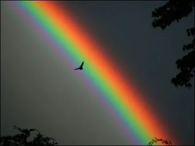 Ta couleur préférée est...