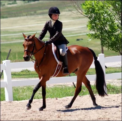 Laquelle de ces disciplines équestres n'existe pas ?