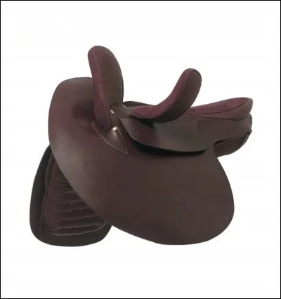 Quel est le nom de cette selle ?