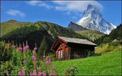 Si un Suisse ou un Savoyard vous dit : "C'est le cheni" que veut-il dire ?