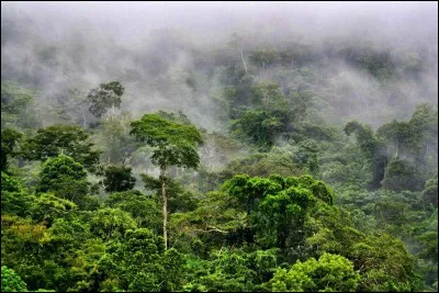 Quelles villes d'Amazonie sont également importantes ? (En 2017)