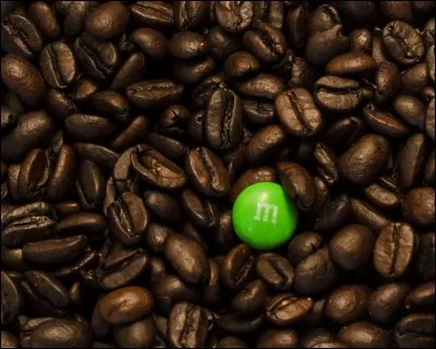 Les contrastes spatiaux sont importants au Brésil. Vrai ou faux ?