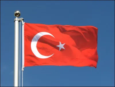 À quelle famille de langues appartient le turc ?