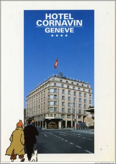 Dans quel hôtel de Genève descendent Tintin et le capitaine Haddock partis à la recherche de Tournesol ?