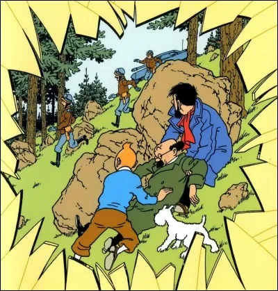 Ils arrivent, malgré tout, chez le professeur avec qui Tournesol avait rendez-vous et qui se nomme :