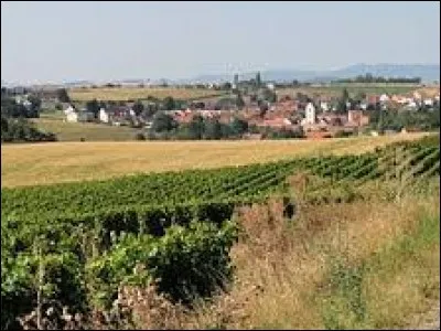 Kienheim est un village Bas-Rhinois situé dans l'ancienne région ...