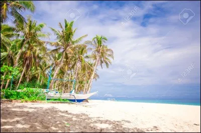 Si tu devais partir sur une île déserte, qui emmènerais-tu ?