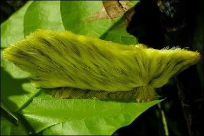 Recueil de faits historiques !