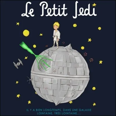 As-tu déjà rêvé d'être un Jedi ?