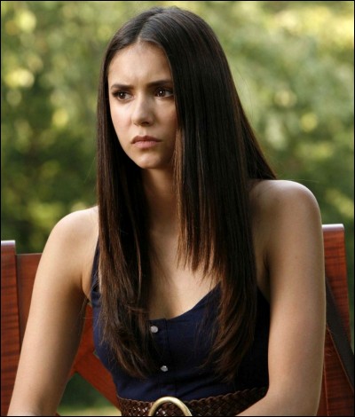 Avec qui Elena est-elle sortie avant Stefan ?