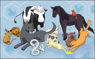 Quel animal pr&eacute;f&egrave;res-tu ?