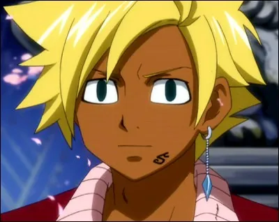 Quel est le nom de cet ami d'Erza ?