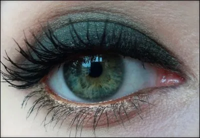 Tu aimerais avoir les yeux...