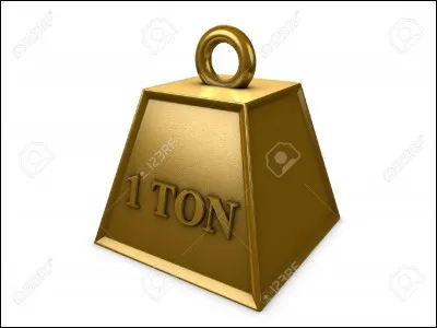 Quel est son poids ?