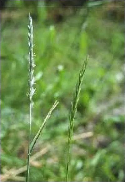Cochez la bonne réponse !