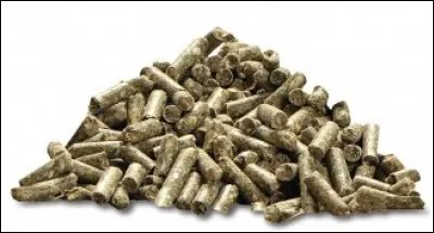 Combien de fois par jour le cheval doit-il manger ?