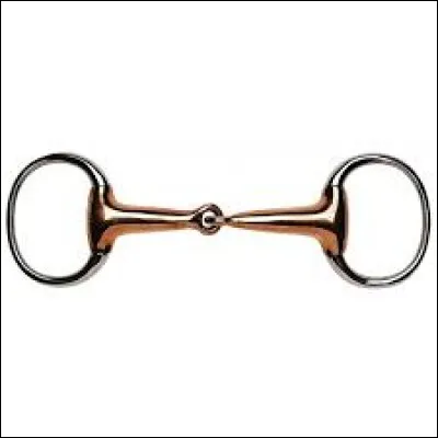 Comment s'appelle la partie que l'on coince dans la bouche du cheval ?