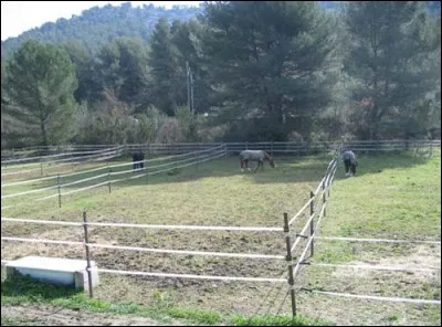 Un petit lieu extérieur où on met un cheval ou un poney en hiver :