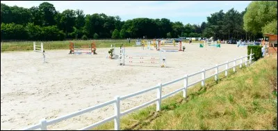 Lieu où on fait travailler le cheval :