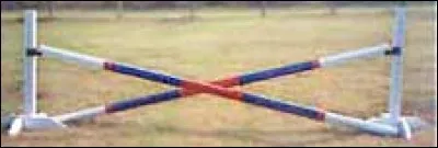 Quel est le nom de cet obstacle ?